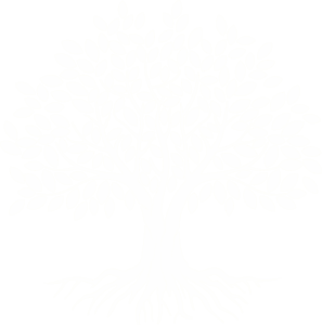 Arbre blanc illustration
