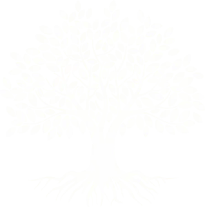 Arbre blanc illustration