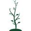 icône jeune arbre